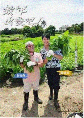 同床异梦 节目画面